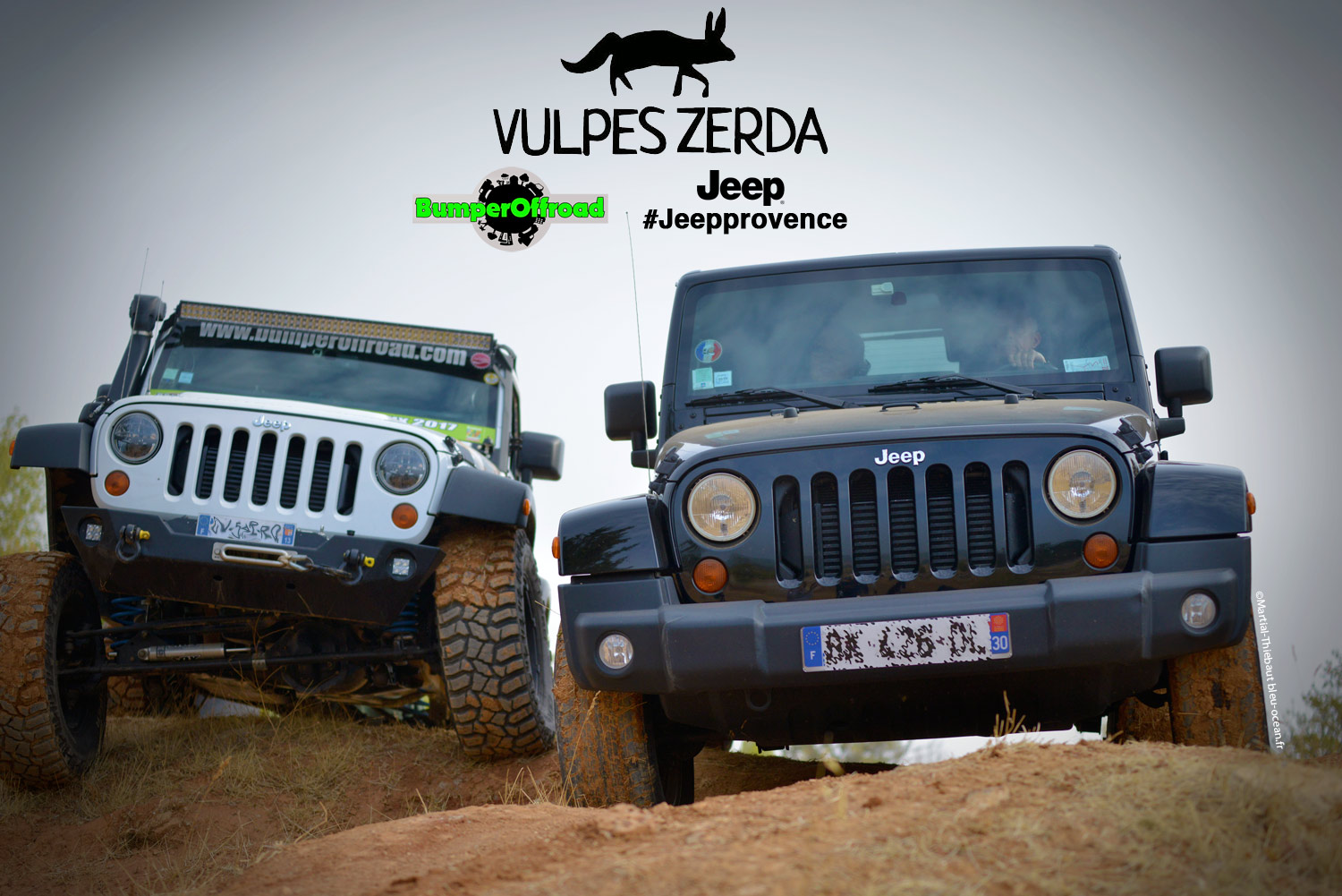 Vulpes-Zerda - ©Martial Thiebaut 2017 - Rallye des Gazelles 2018 - Bumperoffroad