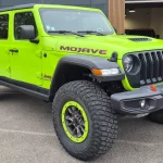 Gladiator Mojave V6 Gecko full